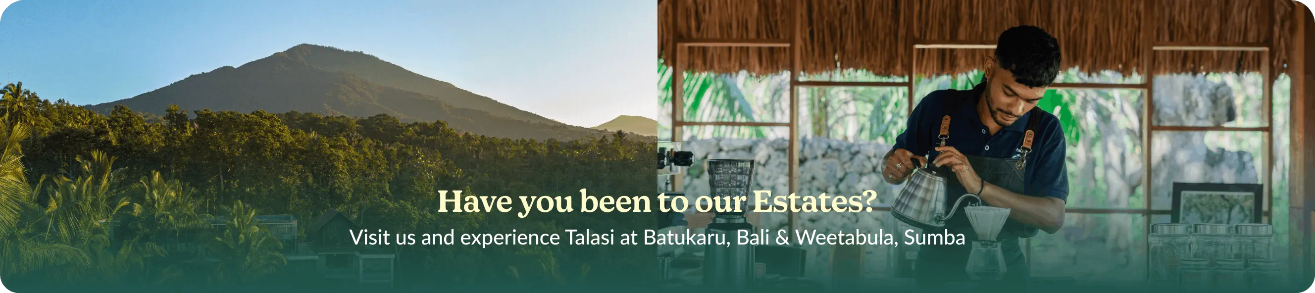 Estate Banner