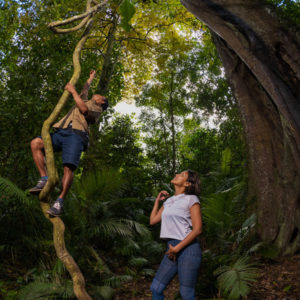 Batukaru Rainforest Walking Tour